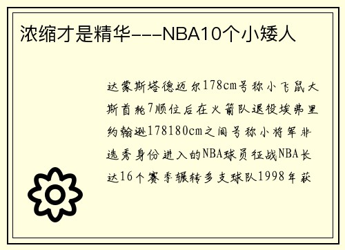 浓缩才是精华---NBA10个小矮人