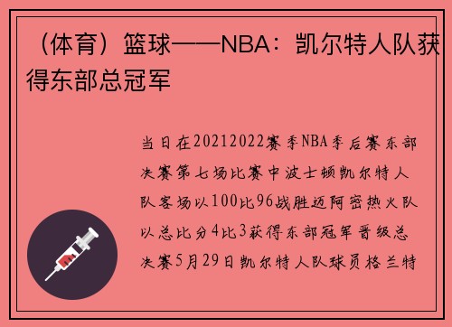 （体育）篮球——NBA：凯尔特人队获得东部总冠军